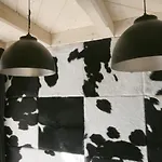 Koliba 자코파네